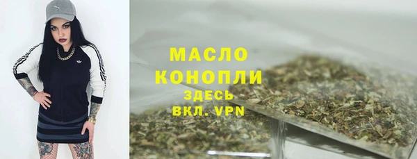 индика Навашино