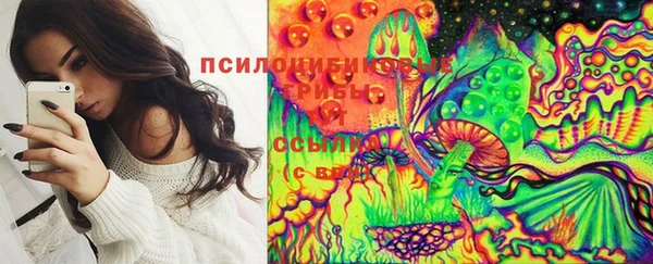 соль курить ск Нея
