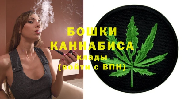 индика Навашино