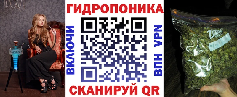 Конопля гибрид  где продают наркотики  Кувшиново 